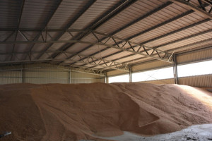 BET-FARM