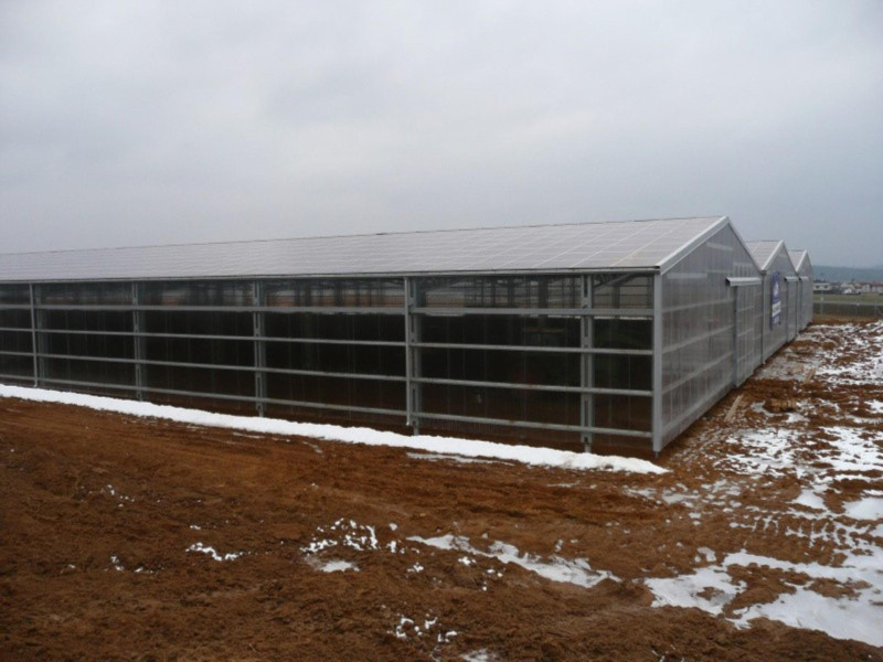 CZ0163 STAUNER - greenfields