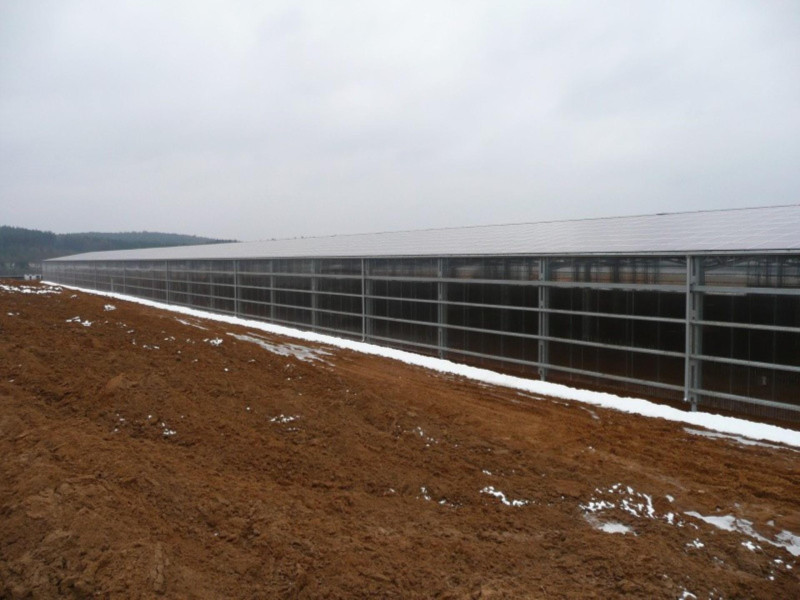 CZ0163 STAUNER - greenfields